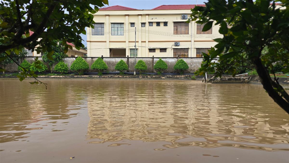 Mặt sông trước trụ sở công ty, nguồn nước mặt của nhà máy